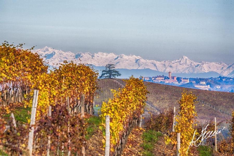 Cascina Rocca Agriturismo B&B Ла Морра Экстерьер фото