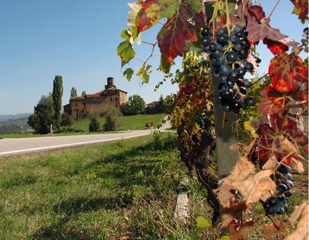 Cascina Rocca Agriturismo B&B Ла Морра Номер фото